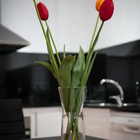 Apartament Baga