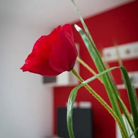 Apartament * Bagá