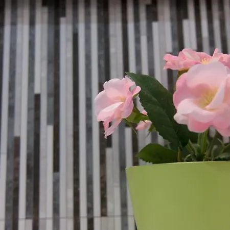 Apartament Bagá